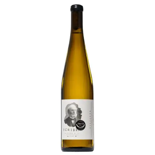 Scribe Sylvaner Sonoma Valley 2024