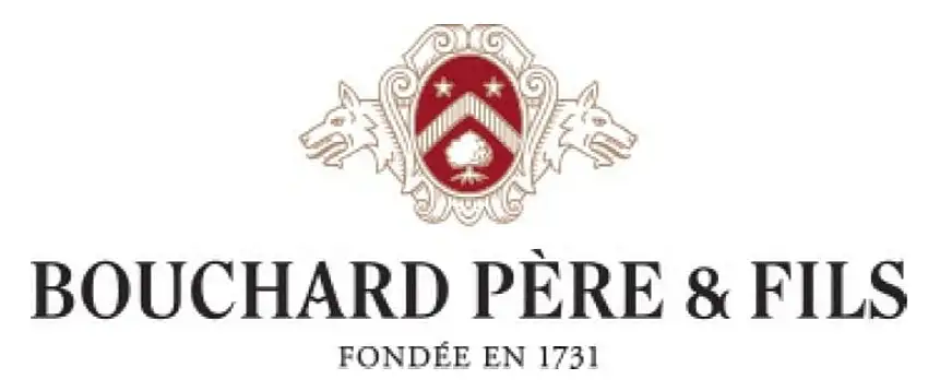 Bouchard Père & Fils Beaune Grèves Vigne de l'Enfant Jésus 2020-750ml