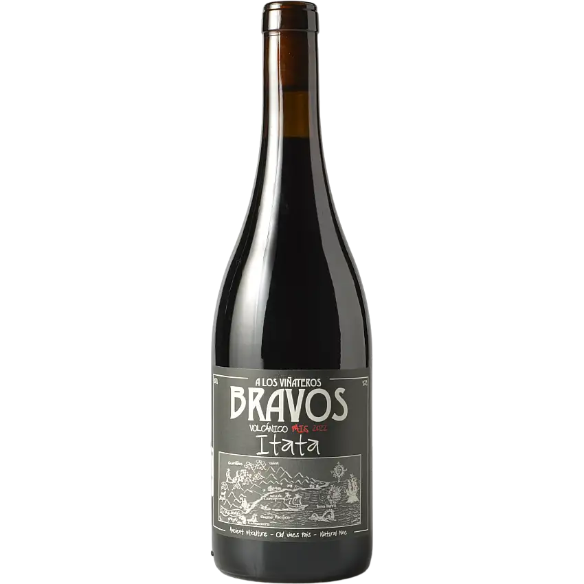 A Los Vinateros Bravos 'Volcanico' Pais, Itata Valley, Chile