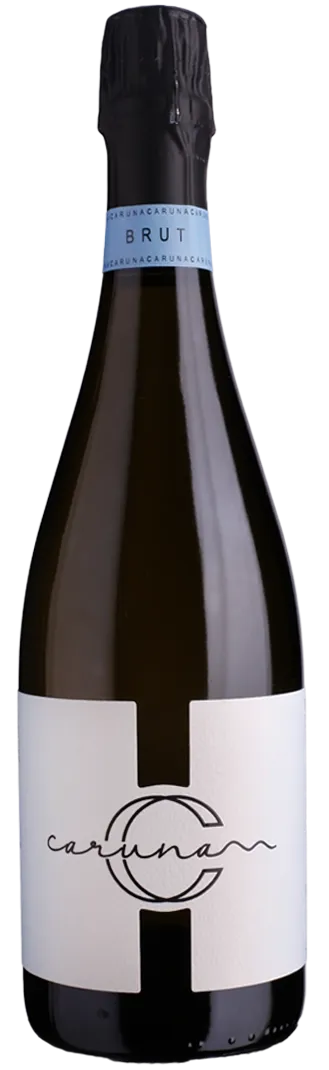 Franciacorta Brut