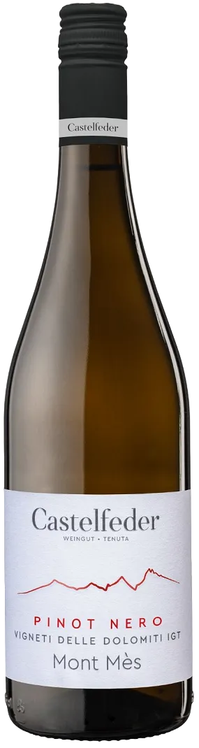 Blauburgunder "Mont Més"