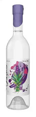 El Jolgorio Mezcal Cuishe Los Altamirano Spirit