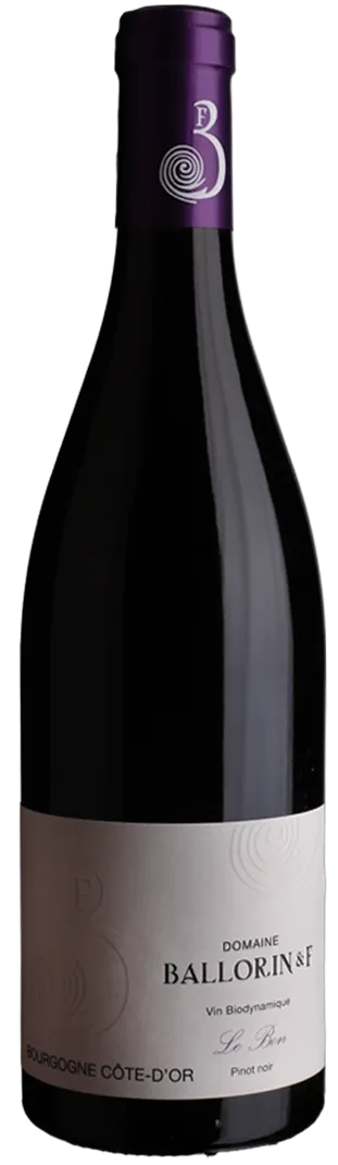 Bourgogne Pinot Noir Le Bon