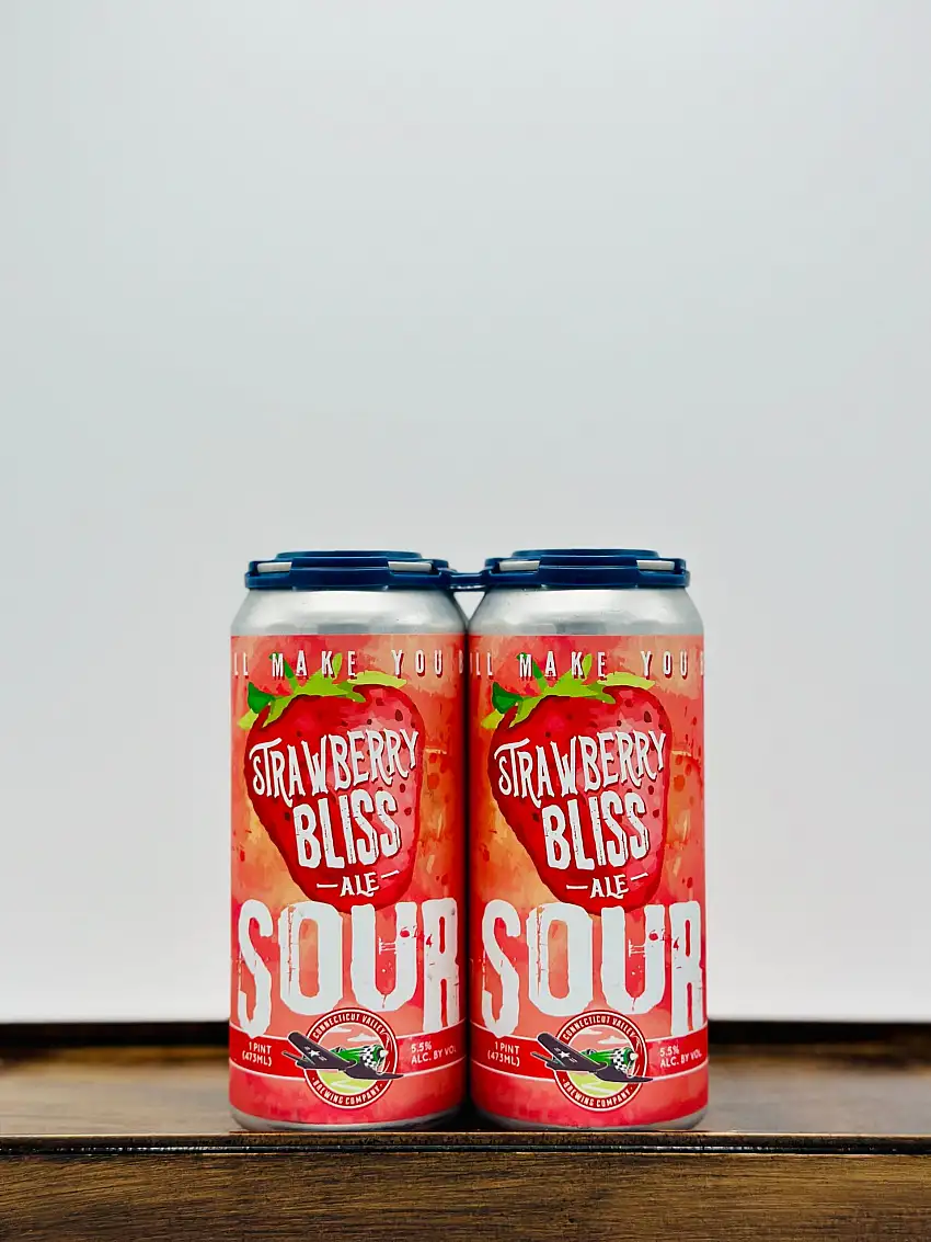 Connecticut Valley Brewing 'Strawberry Bliss' Sour Ale