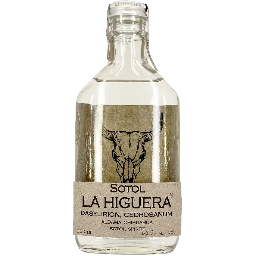La Higuera 'Dasylirion Cedrosanum' Sotol, Chihuahua, Mexico