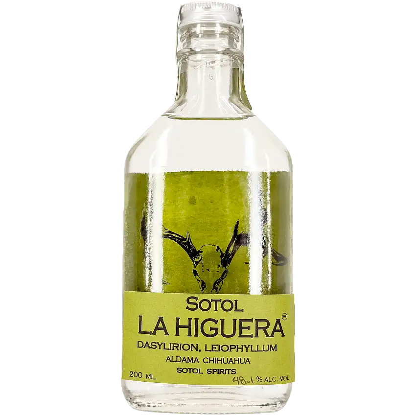 La Higuera 'Dasylirion Leiophyllum' Sotol, Chihuahua, Mexico