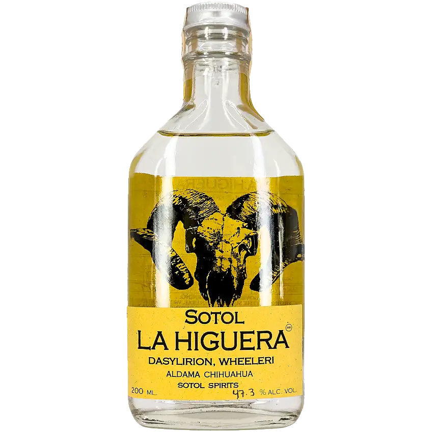 La Higuera 'Dasylirion Wheeleri' Sotol, Chihuahua, Mexico