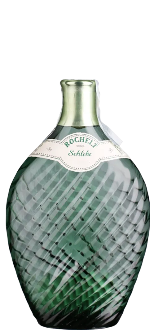 Schlehen 2011