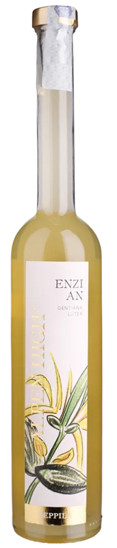 Enzian