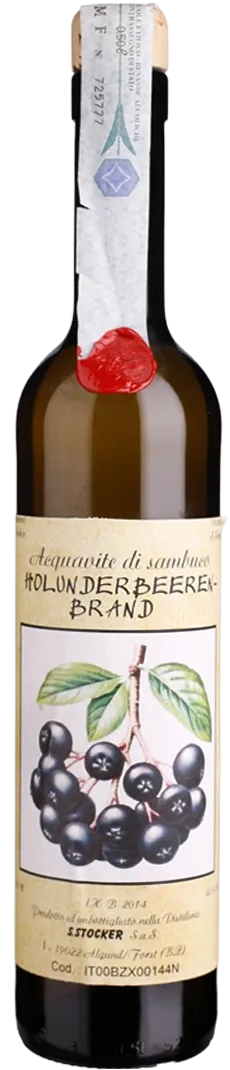 Holunder