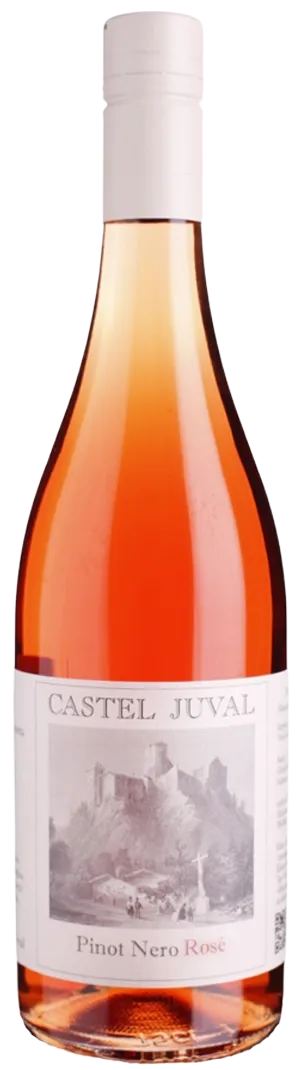 Blauburgunder Rosé DOC