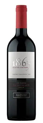 1865 Cabernet Sauvignon Selected Vineyards Las Piedras Maipo Valley 2021 750ML - 750ml Bottle