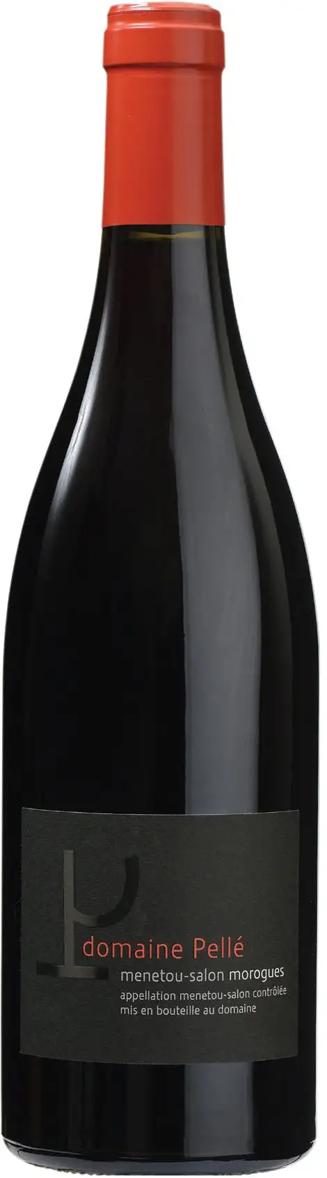 Domaine Henry Pelle Menetou Salon Morogues Rouge 2020 750ml