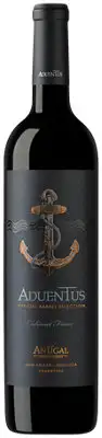 Aduentus Cabernet Franc Mendoza 2019 750ML - 750ml Bottle
