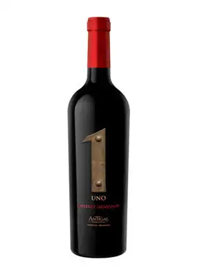 Antigal Cabernet Sauvignon Uno Mendoza 2020 750ML - 750ml Bottle