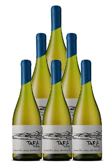 Tara Chardonnay Atacama 2021 750 ML (6 Bottles)