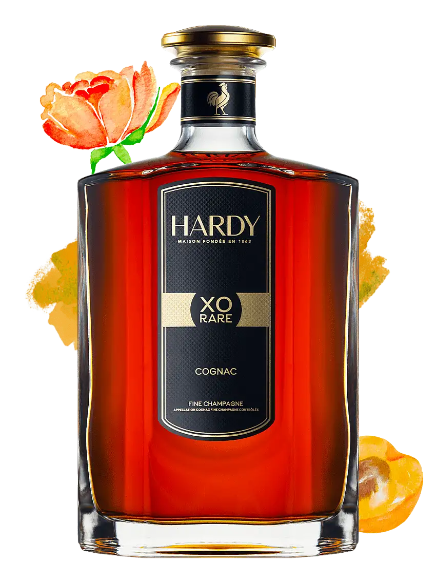 Cognac Hardy Cognac XO Rare - 750ml Bottle